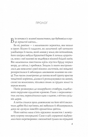 Книга Апельсин у калюжі / Людмила Баран (українською)