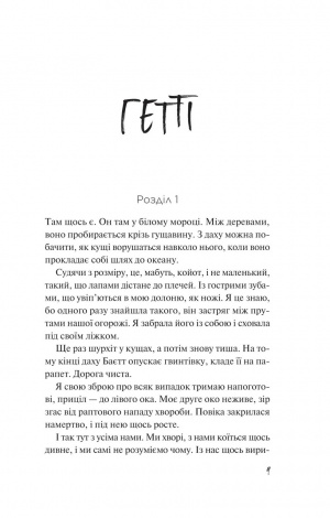 Книга Дикі дівчата / Рорі Пауер (українською)