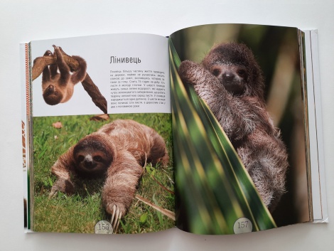 Книга для дітей Малята-звірята.