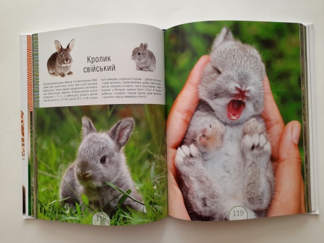 Книга для дітей Малята-звірята.