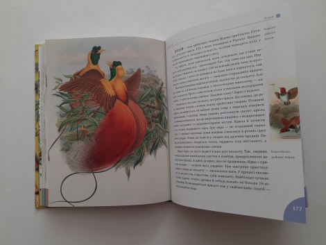 Книга для дітей Розповіді про тварин та їх назви / Кирило Булаховський, Максим Гаврилюк..