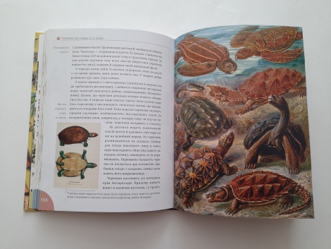 Книга для дітей Розповіді про тварин та їх назви / Кирило Булаховський, Максим Гаврилюк..