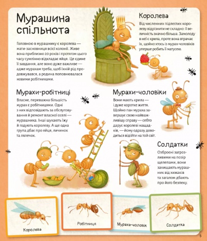 Книга для дітей Світ мурах / Штєпанка Секанінова. Енциклопедії (українською)
