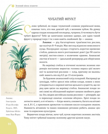 Книга для дітей Зелений вінок планети. Рослини й людство / Кирило Булаховський. Атласи та енциклопедії