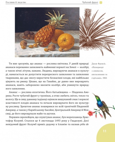 Книга для дітей Зелений вінок планети. Рослини й людство / Кирило Булаховський. Атласи та енциклопедії