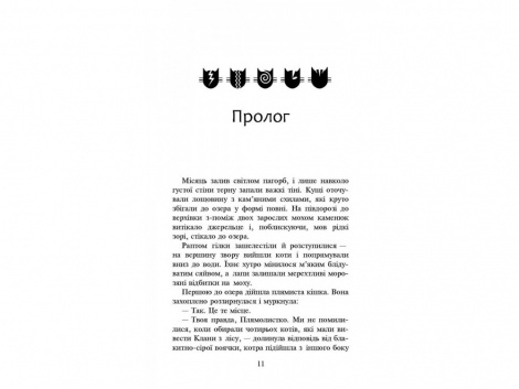 Книга Коти вояки.Нове пророцтво. Стожари. Книга 4