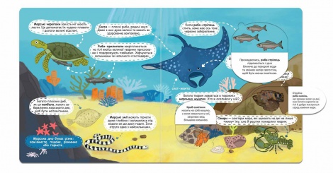 Книга Кто живет на море и в океане (на украинском языке)
