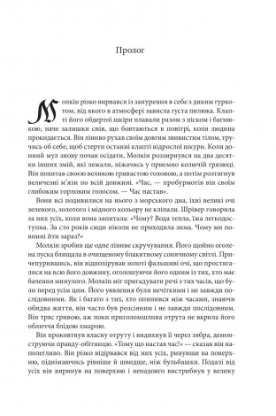 Книга Магічний корабель. Книга 1 /Робін Гобб. Серія - Торговці з живих кораблів (українською)