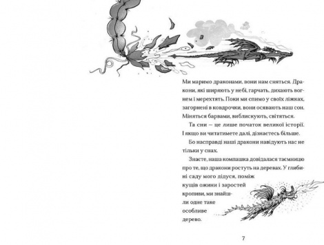 Книга Мальчик, мечтающий о драконах. Книга 4 (на украинском языке)