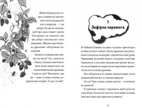 Книга Мальчик, мечтающий о драконах. Книга 4 (на украинском языке)