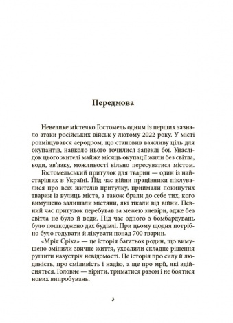 Книга Мрія Сірка. Оповідання для дітей про людяність, сміливість і здійснення мрій / Катерина Дубойська