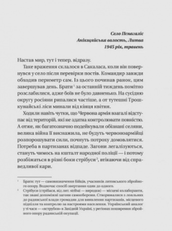 Книга Підпільна держава Кокотюха А. Художня література