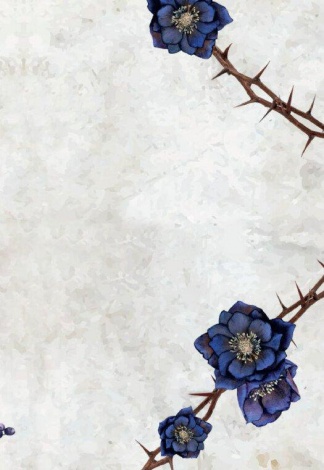 Книга Сага сестер-відьом. Сестра зірок. Том 1 / Мара Вульф. Серія-Фентезі Мари Вулф (українською)
