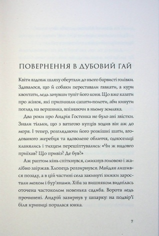 Книга Витязь і Вірлиця / Наталія Довгопол (українською)