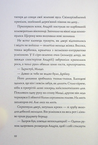 Книга Витязь і Вірлиця / Наталія Довгопол (українською)