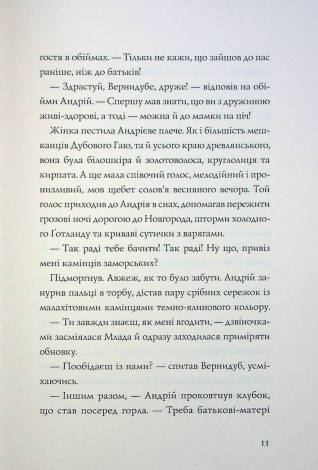 Книга Витязь і Вірлиця / Наталія Довгопол (українською)