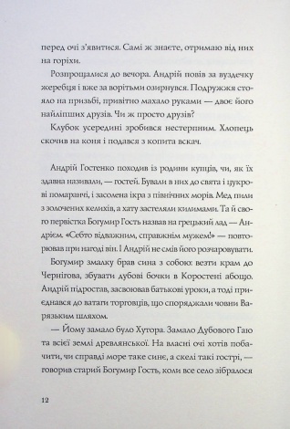 Книга Витязь і Вірлиця / Наталія Довгопол (українською)