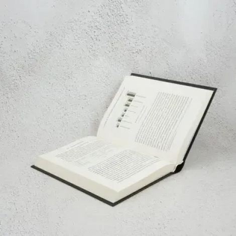 Книга Запал без вигоряння. Як завершити цикл стресу, працювати до сподоби й жити щасливо  В’ячеслав Халанський