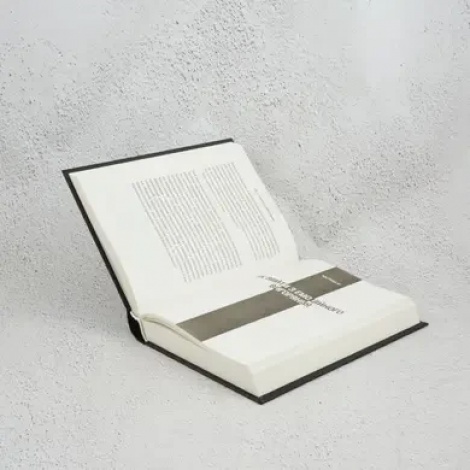 Книга Запал без вигоряння. Як завершити цикл стресу, працювати до сподоби й жити щасливо  В’ячеслав Халанський