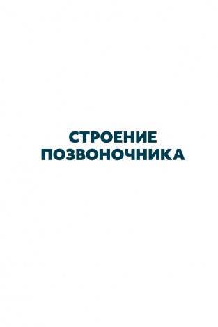 Книга Здорова спина / Володимир Голод (російською)