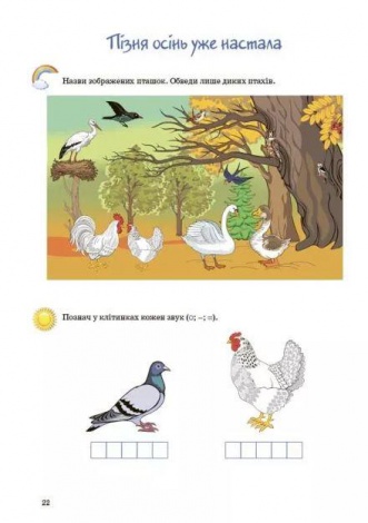 Рік до школи. Підготовка до школи. 5+ років. Робочий зошит