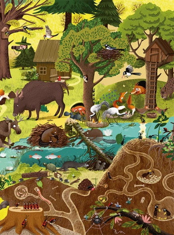 Віммельбух розвиваюча книга для дітей Рік у лісі